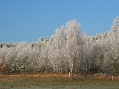 Killikus&reg; Fotographie